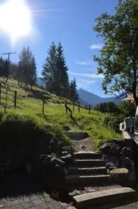 Bergsteiger-"Grüner Hut" - 54