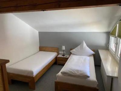 Bergsteiger-"Grüner Hut" - 30