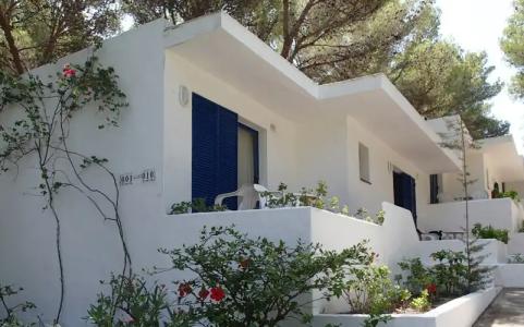 Insotel Club Maryland - 19