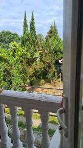 Chakvi. gogolishvili N52 stari ulica gogebashvili N52 - 41