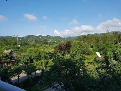 Chakvi. gogolishvili N52 stari ulica gogebashvili N52 - 13