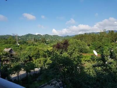 Chakvi. gogolishvili N52 stari ulica gogebashvili N52 - 75