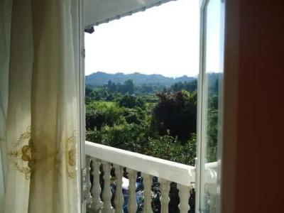 Chakvi. gogolishvili N52 stari ulica gogebashvili N52 - 23