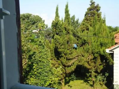 Chakvi. gogolishvili N52 stari ulica gogebashvili N52 - 60