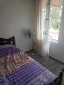 Chakvi. gogolishvili N52 stari ulica gogebashvili N52 - 16