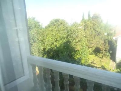 Chakvi. gogolishvili N52 stari ulica gogebashvili N52 - 59