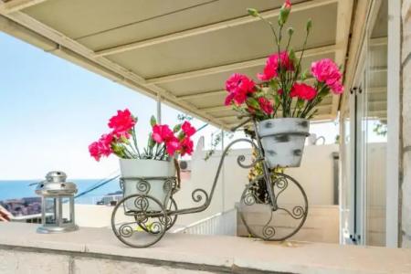 Guesthouse Home Sweet Home - 141