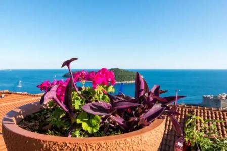 Guesthouse Home Sweet Home - 80