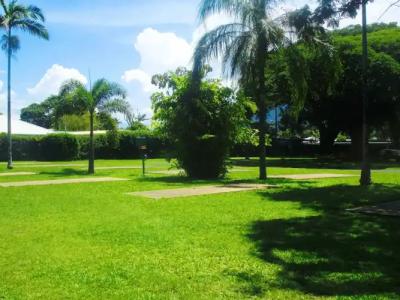 First City Caravilla - 13