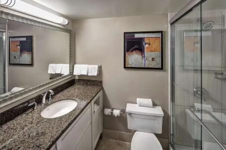 Hilton Sacramento Arden West - 9