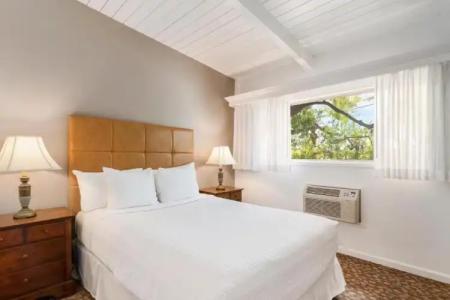 Best Western Plus - 55