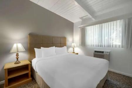 Best Western Plus - 110