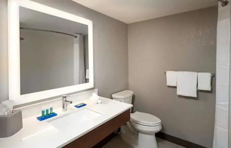 Holiday Inn Express BOCA RATON-WEST by IHG - 25