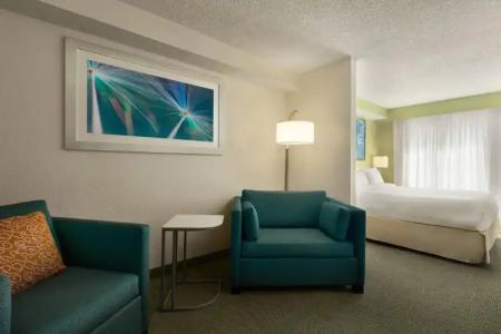 Springhill Suites By Marriott Boca Raton - 37