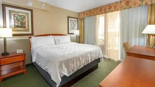 Holiday Inn & Suites Clearwater Beach by IHG - 42
