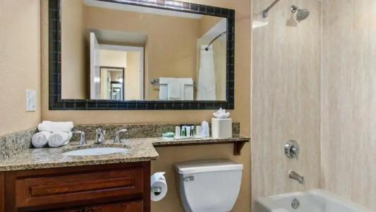 Holiday Inn & Suites Clearwater Beach by IHG - 41