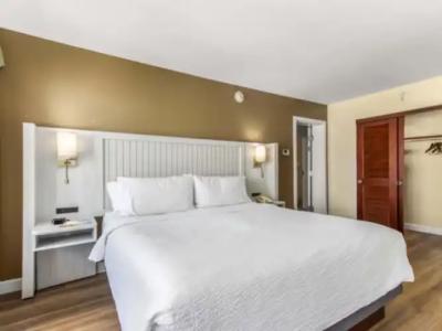 Holiday Inn & Suites Clearwater Beach by IHG - 4