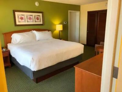 Holiday Inn & Suites Clearwater Beach by IHG - 32