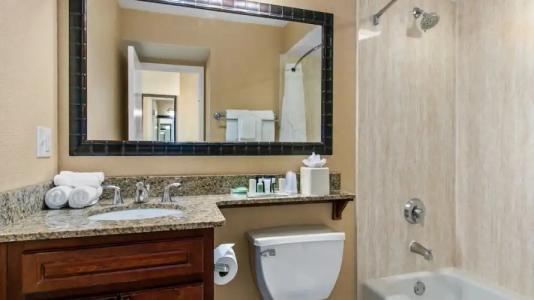 Holiday Inn & Suites Clearwater Beach by IHG - 60