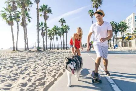 Coconut Cove All Suite - 23