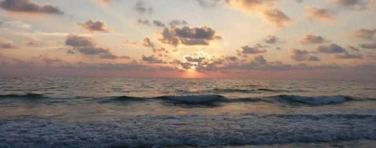 Coconut Cove All Suite - 14