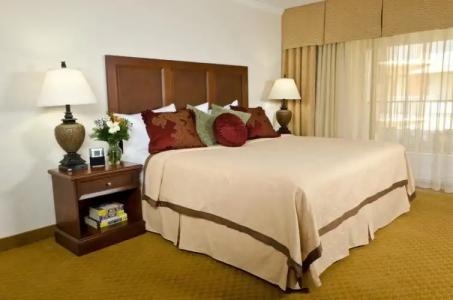 Coconut Cove All Suite - 25