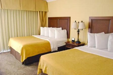 Coconut Cove All Suite - 5