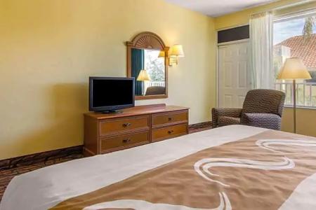 Rodeway Inn Clearwater - Central - 80