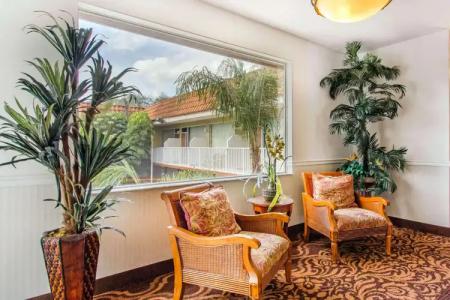 Rodeway Inn Clearwater - Central - 6