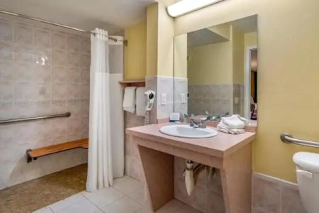 Rodeway Inn Clearwater - Central - 63