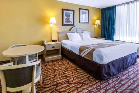 Rodeway Inn Clearwater - Central - 5