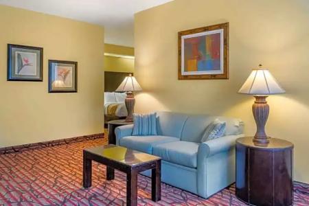 Rodeway Inn Clearwater - Central - 79