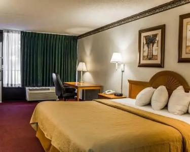Rodeway Inn Clearwater - Central - 51