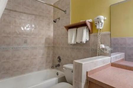 Rodeway Inn Clearwater - Central - 62