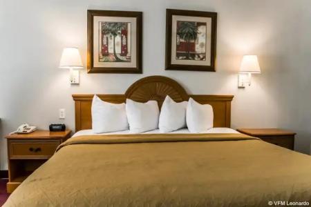 Rodeway Inn Clearwater - Central - 41