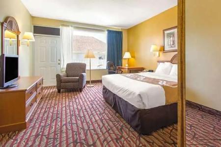 Rodeway Inn Clearwater - Central - 81