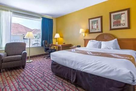 Rodeway Inn Clearwater - Central - 83