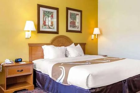 Rodeway Inn Clearwater - Central - 82