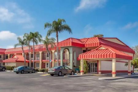 Super 8 by Wyndham Clearwater/US Hwy 19 N - 0