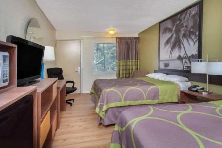 Super 8 by Wyndham Clearwater/US Hwy 19 N - 3