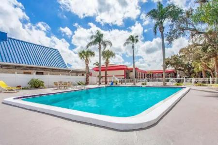 Super 8 by Wyndham Clearwater/US Hwy 19 N - 10