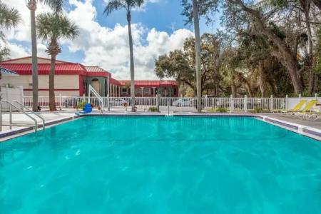 Super 8 by Wyndham Clearwater/US Hwy 19 N - 11