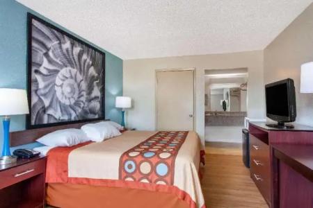 Super 8 by Wyndham Clearwater/US Hwy 19 N - 24