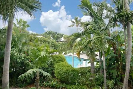 The Pier House Resort - 23