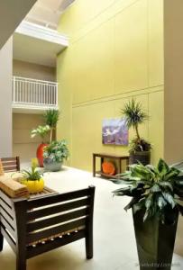 The Pier House Resort - 15