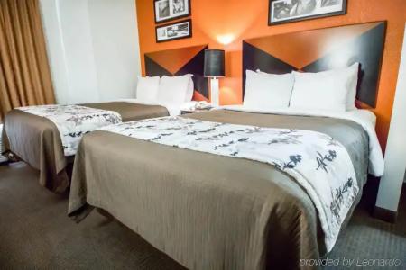 Sleep Inn Sarasota North - 38