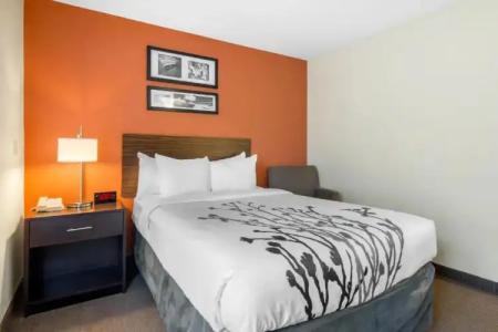 Sleep Inn Sarasota North - 54