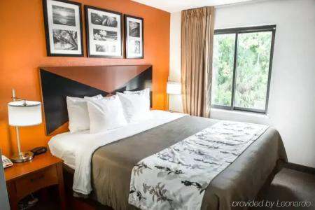 Sleep Inn Sarasota North - 40