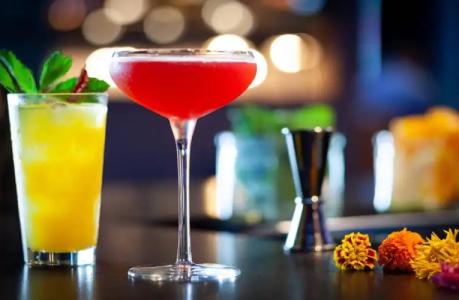 JW Marriott Tampa Water Street - 7