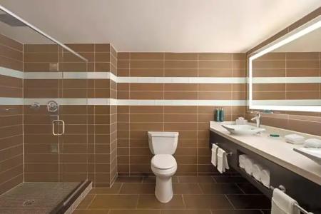 Home2 Suites by Hilton Tampa Downtown Channel District - 66